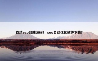 自动seo网站源码？ seo自动优化软件下载？