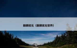 麒麟优化（麒麟优化软件）