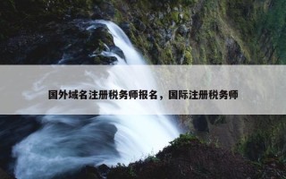 国外域名注册税务师报名，国际注册税务师