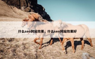 什么seo网站效果，什么seo网站效果好