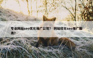 专业网站seo优化推广公司？ 网站优化seo推广服务？