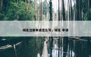 域名注册申请怎么写，域名 申请