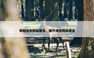 穿越搜索网站建设，国外搜索网站建设