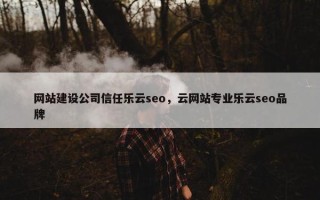 网站建设公司信任乐云seo，云网站专业乐云seo品牌