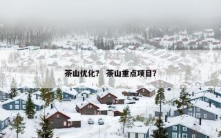 茶山优化？ 茶山重点项目？
