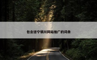 包含遂宁银川网站推广的词条