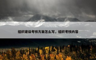 组织建设考核方案怎么写，组织考核内容