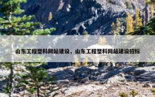 山东工程塑料网站建设，山东工程塑料网站建设招标