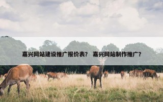 嘉兴网站建设推广报价表？ 嘉兴网站制作推广？