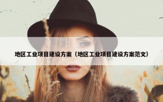 地区工业项目建设方案（地区工业项目建设方案范文）