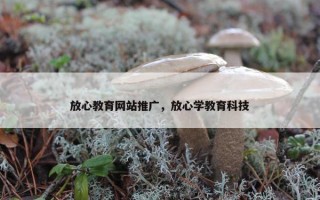 放心教育网站推广，放心学教育科技