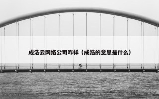 成浩云网络公司咋样（成浩的意思是什么）