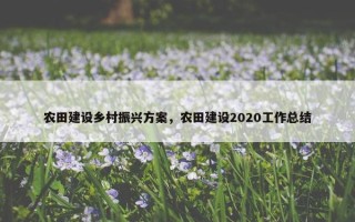 农田建设乡村振兴方案，农田建设2020工作总结