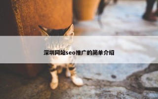 深圳网站seo推广的简单介绍