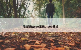 传统建站seo系统，seo建设