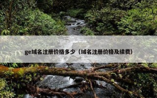ge域名注册价格多少（域名注册价格及续费）