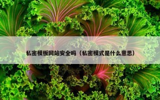 私密模板网站安全吗（私密模式是什么意思）
