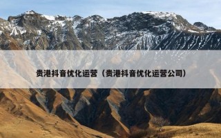 贵港抖音优化运营（贵港抖音优化运营公司）
