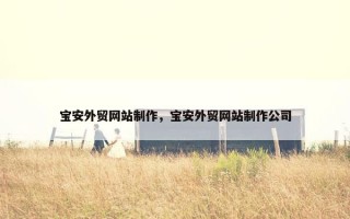宝安外贸网站制作，宝安外贸网站制作公司