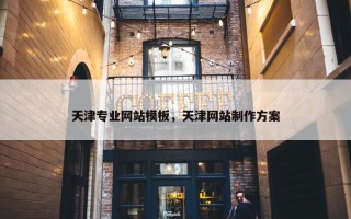 天津专业网站模板，天津网站制作方案