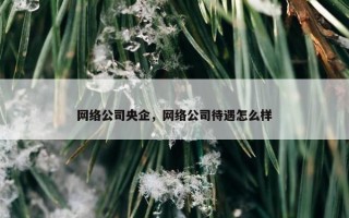 网络公司央企，网络公司待遇怎么样