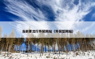 当前更流行外贸网站（外贸型网站）