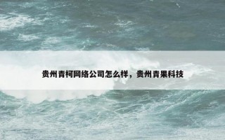 贵州青柯网络公司怎么样，贵州青果科技
