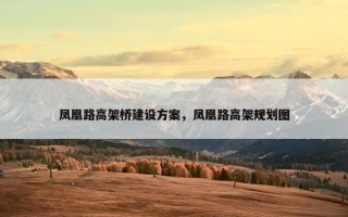 凤凰路高架桥建设方案，凤凰路高架规划图