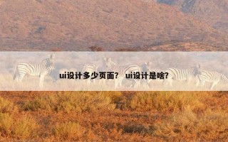 ui设计多少页面？ ui设计是啥？