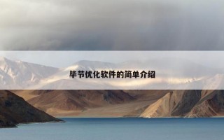 毕节优化软件的简单介绍
