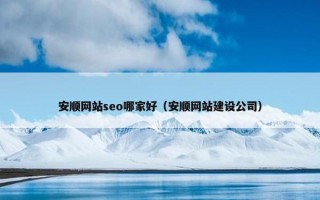 安顺网站seo哪家好（安顺网站建设公司）