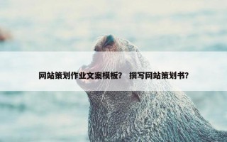 网站策划作业文案模板？ 撰写网站策划书？