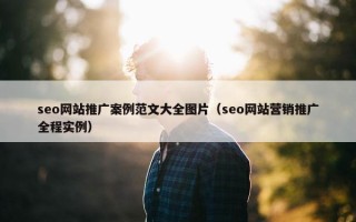 seo网站推广案例范文大全图片（seo网站营销推广全程实例）