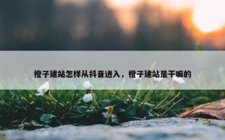 橙子建站怎样从抖音进入，橙子建站是干嘛的