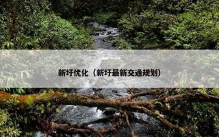 新圩优化（新圩最新交通规划）