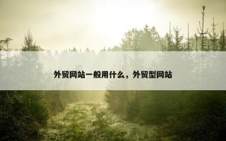 外贸网站一般用什么，外贸型网站