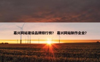 嘉兴网站建设品牌排行榜？ 嘉兴网站制作企业？