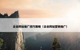 企业网站推广技巧策略（企业网站营销推广）