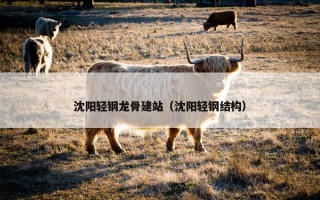 沈阳轻钢龙骨建站（沈阳轻钢结构）