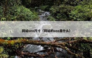网站seo尺寸（网站的seo是什么）