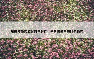哪图片格式适合网页制作，网页用图片用什么格式