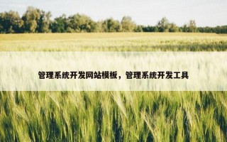 管理系统开发网站模板，管理系统开发工具