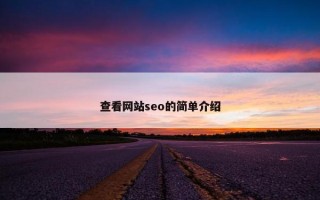 查看网站seo的简单介绍