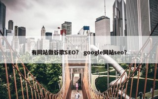 有网站做谷歌SEO？ google网站seo？