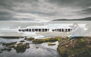 wap域名在哪里注册？ wtf域名注册？