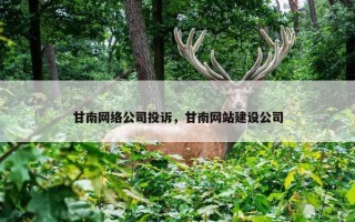 甘南网络公司投诉，甘南网站建设公司