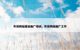 外贸网站建设推广培训，外贸网站推广工作