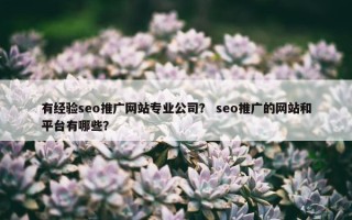 有经验seo推广网站专业公司？ seo推广的网站和平台有哪些？