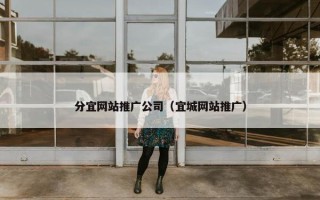 分宜网站推广公司（宜城网站推广）