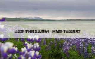 运营制作网站怎么做好？ 网站制作运营成本？